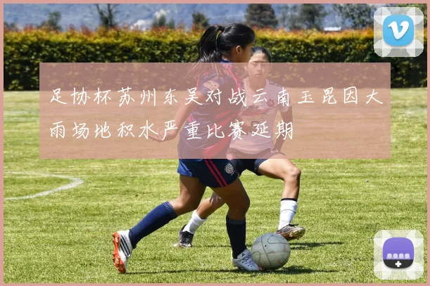 足协杯苏州东吴对战云南玉昆因大雨场地积水严重比赛延期